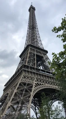 Обои Paris In Autumn для iPhone 6