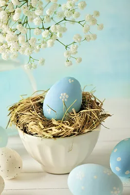 Скачать обои easter, eggs, flowers, пасха, яйца, цветы, раздел праздники в  разрешении 1440x900 | Easter frame, Easter wallpaper, Coloring easter eggs