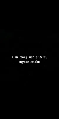 Обои для телефона | Вдохновляющие цитаты, Исторические цитаты,  Вдохновляющие высказывания