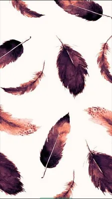 Pin by Eko on Wallpapers | Feather wallpaper, Beautiful wallpapers,  Wallpaper backgrounds