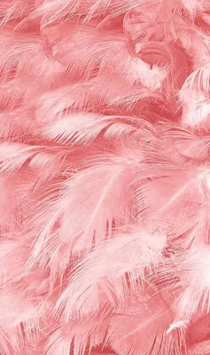 Épinglé par Zydre Grigunaite sur iPhone wallpapers | Fond d'écran  téléphone, Fond d'écran coloré, Esthétique rose pastel