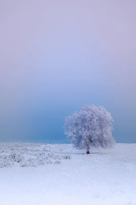 Секреты MIUI ☀️ ☔️ Новые живые обои с отображением погоды | На свяZи | Дзен