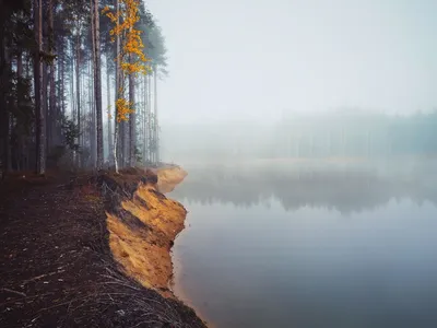 Обои на телефон: Осень, Дорога, Парк, Дерево, Золотой, Фотографии, Жёлтый,  784017 скачать картинку бесплатно.