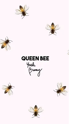 Queen Phone Wallpapers - Top Free Queen Phone Backgrounds - WallpaperAccess