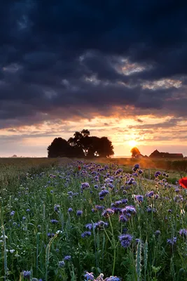 Pictures Nature Sky Fields sunrise and sunset Clouds 640x960