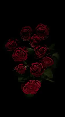 Pin by Iyan Sofyan on Flowers + | Nature iphone wallpaper, Black background  wallpaper, Black roses wallpaper