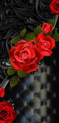 Заставки на Телефон | Rose flower wallpaper, Flower phone wallpaper,  Beautiful flowers wallpapers