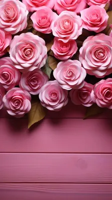 Images rose Pink color flower Many 1080x1920