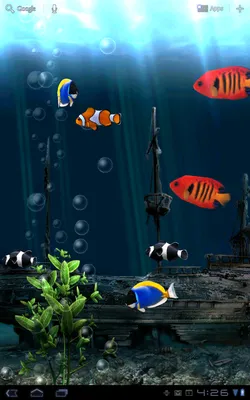 Amoled Fish — красочные мобильные обои