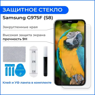 Защитное стекло на Самсунг/Samsung S8 G950 полноэкранное, УФ клей для  дисплея экрана телефона, лампа для клея \"UV комплект\" - купить с доставкой  по выгодным ценам в интернет-магазине OZON (217186976)