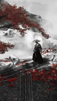 Samurai by TheRisingSoul on DeviantArt