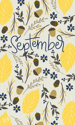 Wallpaper September 1 | September wallpaper, Fall wallpaper, Halloween  wallpaper iphone