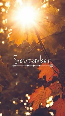 Pin by Виктория Сергеевна on обои на телефон, в хорошем качестве! |  September wallpaper, Fall backgrounds iphone, Fall wallpaper