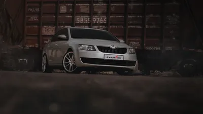 Гид по покупке Skoda Octavia III - КОЛЕСА.ру – автомобильный журнал