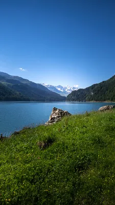 Обои для рабочего стола Швейцария Lake Marmorera ели Горы 1080x1920