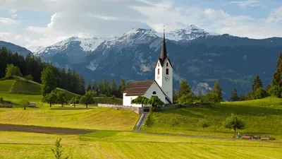 Wallpaper Alps, 5k, 4k wallpaper, Germany, Meadows, mountains, grass,  daisies, Nature #5524