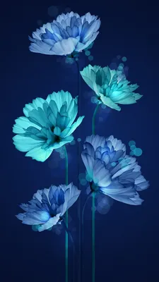 Download \"Blue Flowers\" wallpapers for mobile phone, free \"Blue Flowers\" HD  pictures