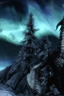 1080x1920 The Elder Scrolls v Skyrim Wallpapers for Android Mobile  Smartphone [Full HD]