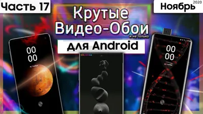 Что Такое Криптоскам И Как Обезопасить Себя От Мошенников В Криптомире? |  Игорь Зуевич | Дзен