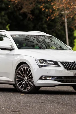 Обои на рабочий стол автомобили Skoda Octavia - 2020