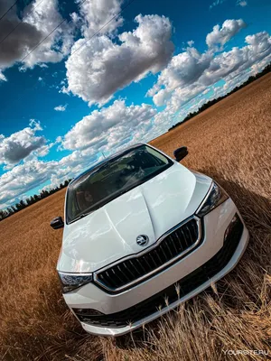 Skoda Superb Wallpaper for iPhone 12 Pro