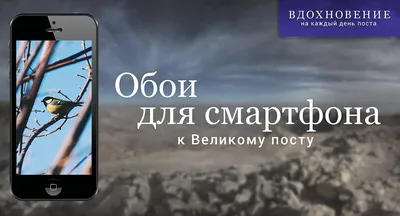 Как установить обои на Айфон ➠ Установить живые обои на iPhone