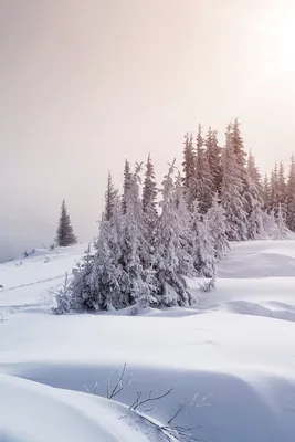 Снег мобильный телефон обои изображение_Фото номер 400877536_JPG Формат  изображения_ru.lovepik.com