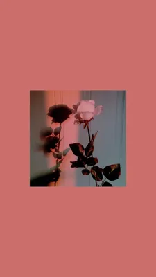 flowers lockscreens | Nhật ký nghệ thuật, Kỳ ảo, Mỹ thuật