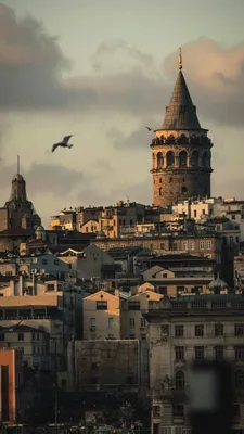 Istanbul, camii, HD phone wallpaper | Peakpx