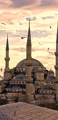 Pin by photu on istbol | Skyline, New york skyline, Istanbul