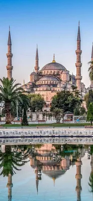 Картинка Istanbul Mosque HD на телефон iPhone 12 Pro