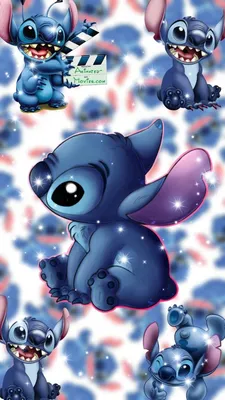 🎆✨𝐁𝐫𝐢𝐢𝐜𝐡𝐮✨🎆 on X: \"Son tan lindas las fotos de stich  https://t.co/otq1kUnwEq\" / X