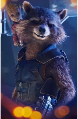 Pin by Marcelo Garcia on Marvel | Rocket raccoon, Guardians of the galaxy  vol 2, Guardians of the galaxy