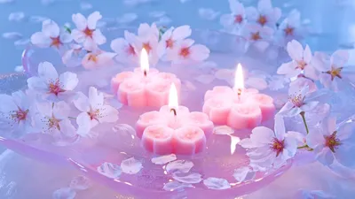 Свечи.сакура. Обои для Андроид бесплатно. | Pink candles, Beautiful  candles, Candles wallpaper