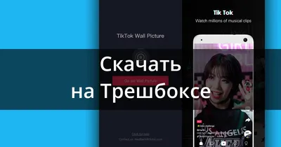 Как установить живые обои из Тик Тока на Android и iPhone? - idej.net