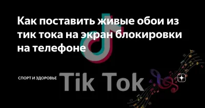 Бабаев Степан | Как сделать живые обои на телефон из ролика в ТикТок? | Дзен