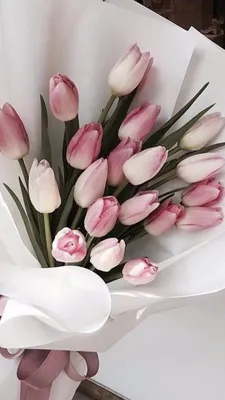 Pin by 💛 on Ծաղիկներ | Luxury flowers, Beautiful flowers, Pink tulips