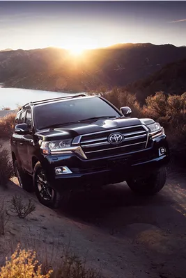 Images Toyota Sport utility vehicle 2020 Land Cruiser 640x960