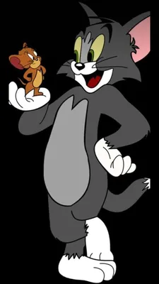 Обои Tom and Jerry на iPhone 6