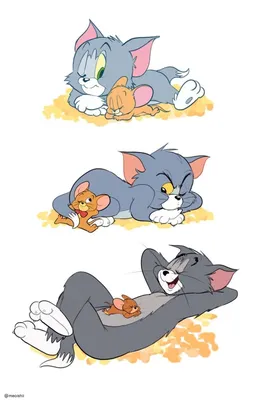 Tom and Jerry, bored, mood, purple, HD phone wallpaper | Peakpx