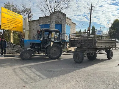 Британские инженеры создали первый трактор, работающий на коровьем навозе -  Газета.Ru | Новости