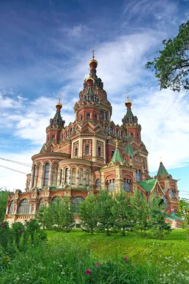 Images St. Petersburg Church Russia Peterhof temple Cities