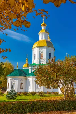 Церковь Рождества Богородицы, Серафимова Земля | Серафимова Земля