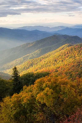 Wallpaper USA North Carolina Nature Autumn mountain forest 640x960