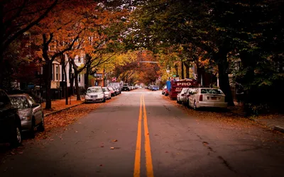 Download wallpaper 2560x1600 road, trees, cambridge, car, usa hd background