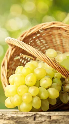 Обои виноград, grapes, 8k, Еда #15356 | Grapes, Blood thinning foods,  Grapes benefits