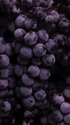 Обои на телефон | Grape wallpaper, Fruit wallpaper, Iphone background  wallpaper