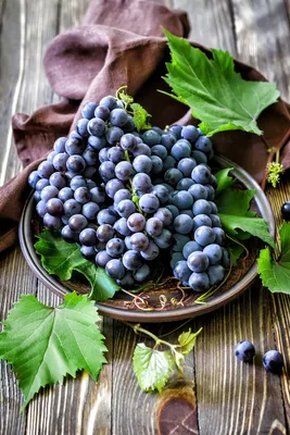 Image Foliage Grapes Food Wood planks 4000x6000