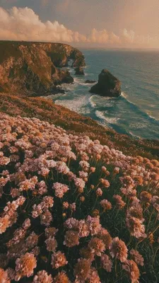 25+ Vintage Wallpaper Backgrounds For A Retro Vibe | | Sky aesthetic,  Iphone wallpaper vintage, Nature