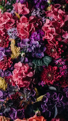 Vintage floral iPhone Wallpaper Collection | Preppy Wallpapers | Iphone 7  plus wallpaper, Spring wallpaper, Flower wallpaper